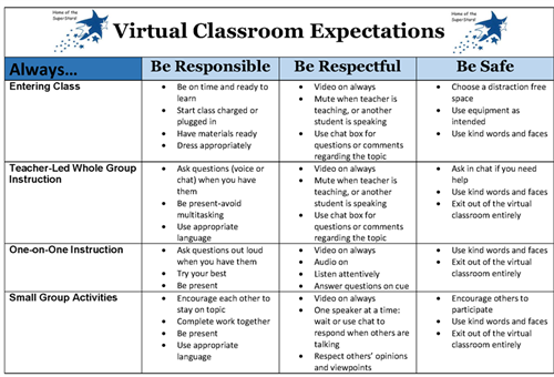 virtual classroom expectations 